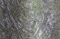 Draycot Foliat fibreglass roof work